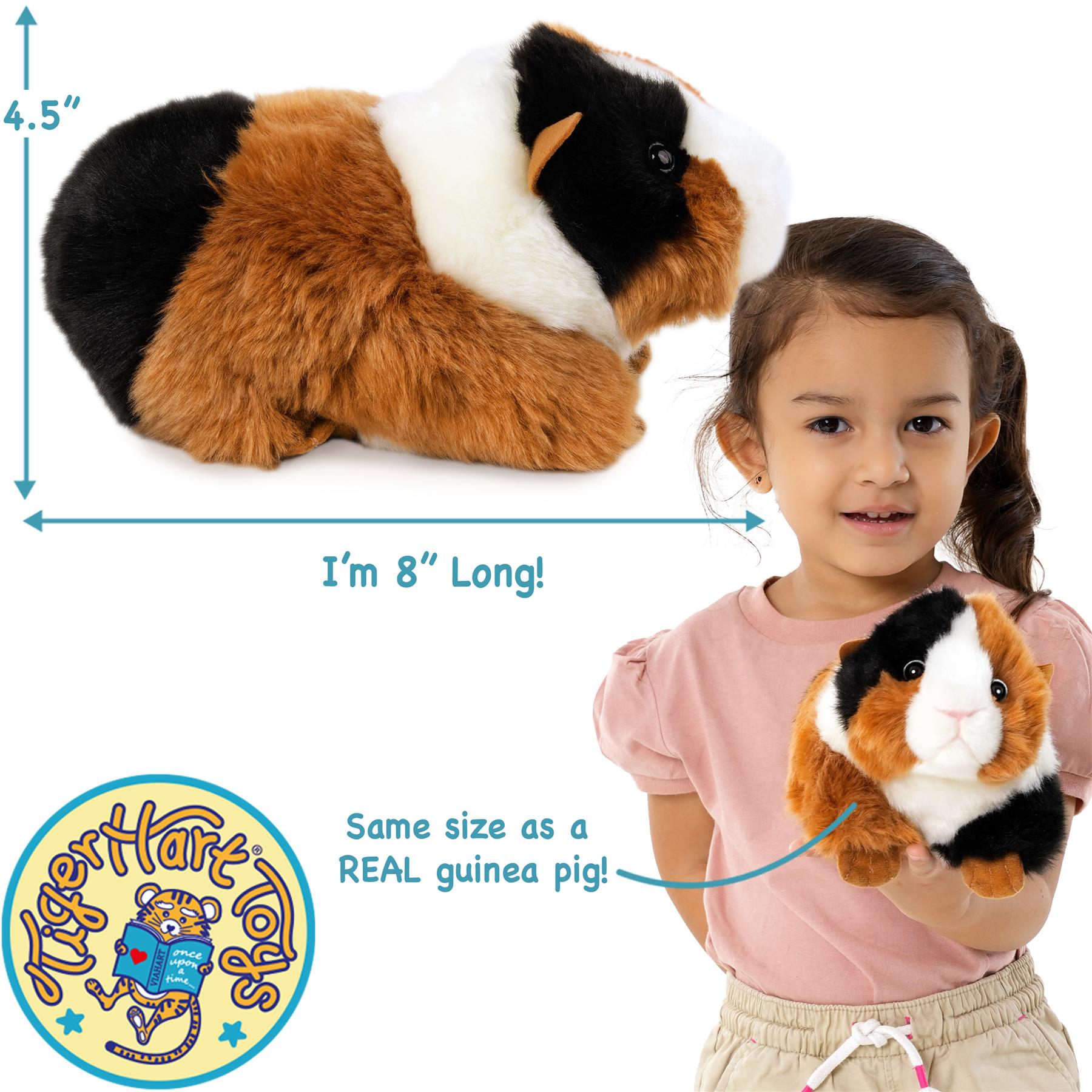 Gianni The Guinea Pig | 9 Inch Stuffed Animal Plush | by TigerHart Toys